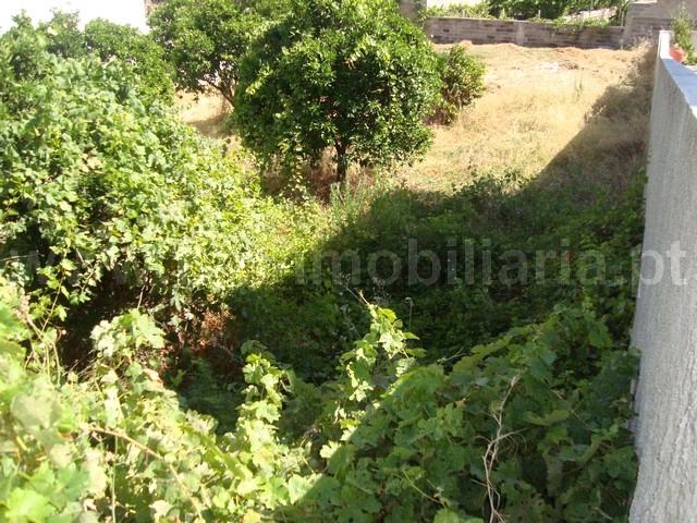 Lote de Terreno  Venda em Castelo Branco,Castelo Branco