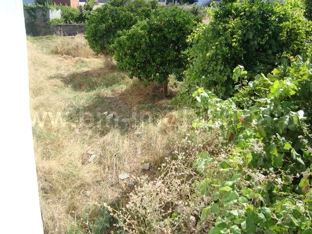 Lote de Terreno  Venda em Castelo Branco,Castelo Branco