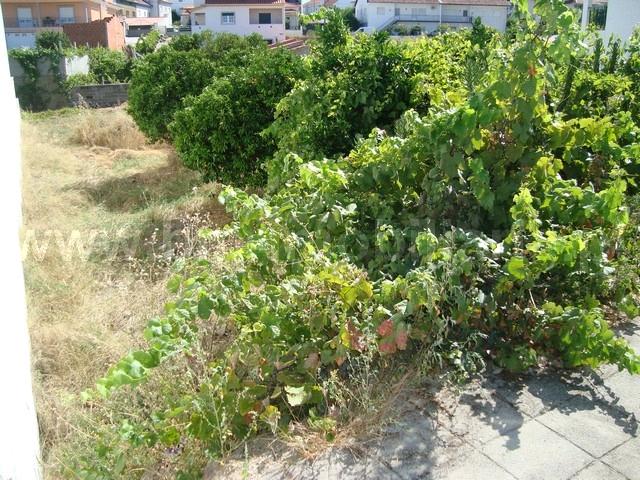 Lote de Terreno  Venda em Castelo Branco,Castelo Branco