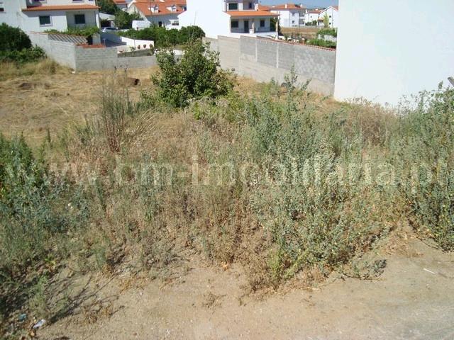 Lote de Terreno  Venda em Castelo Branco,Castelo Branco