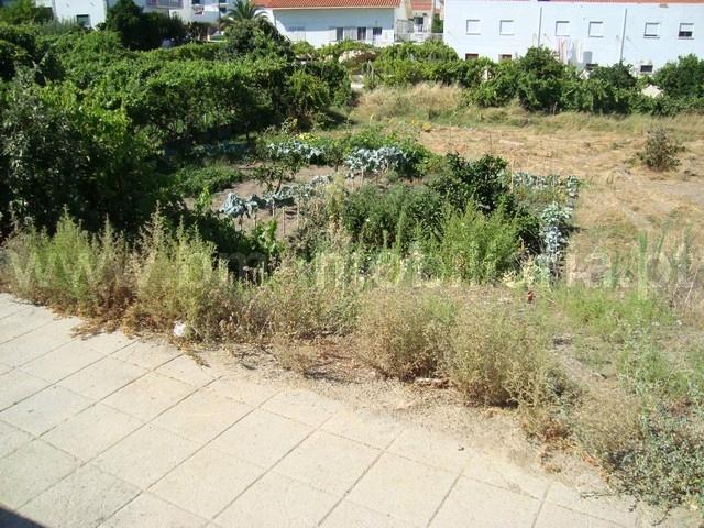 Lote de Terreno  Venda em Castelo Branco,Castelo Branco