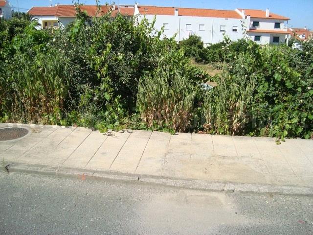 Lote de Terreno  Venda em Castelo Branco,Castelo Branco