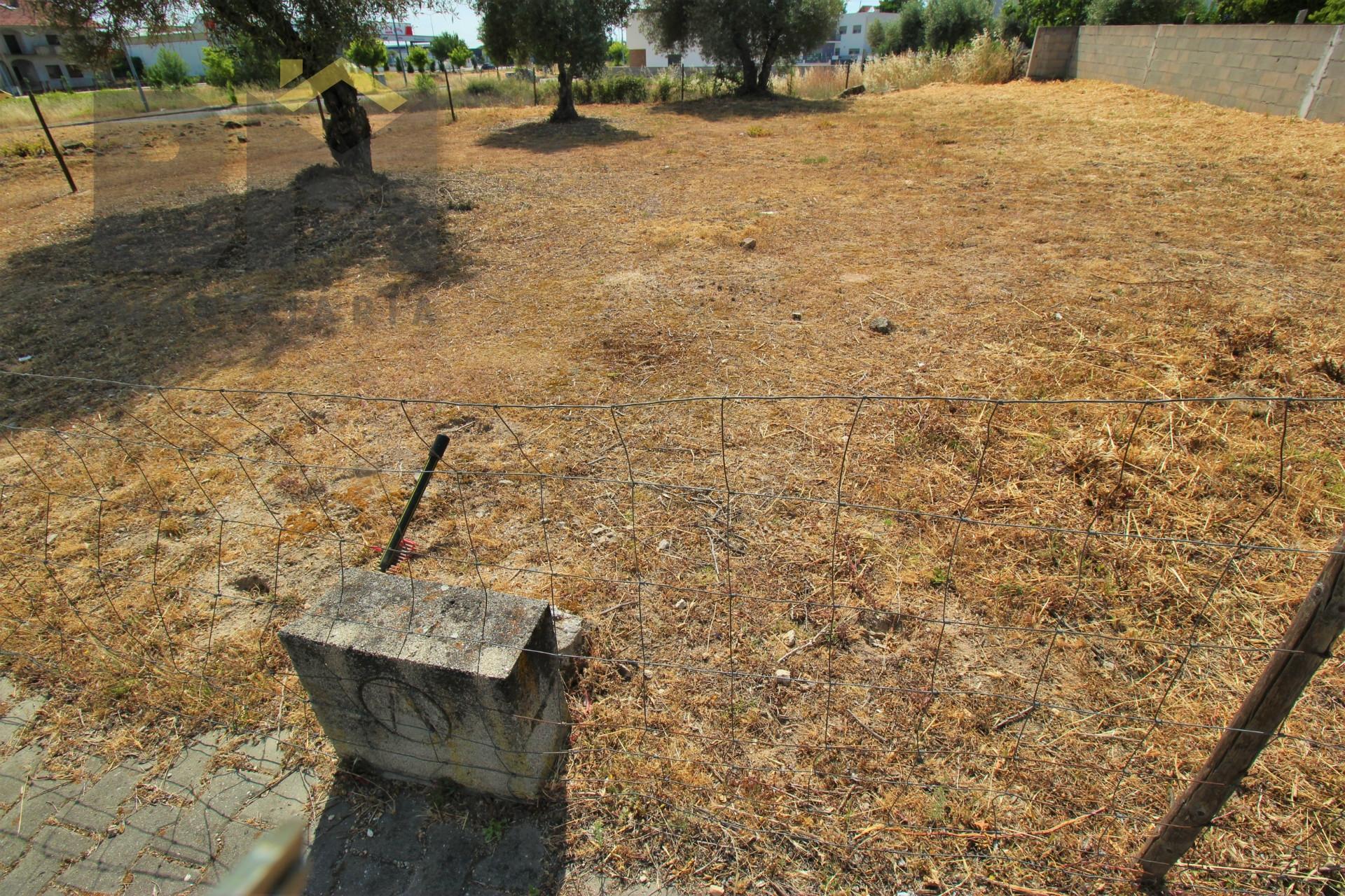 Terreno Para Construção  Venda em Alcains,Castelo Branco