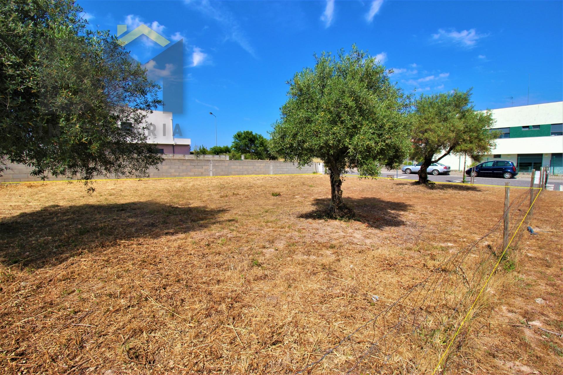 Terreno Para Construção  Venda em Alcains,Castelo Branco