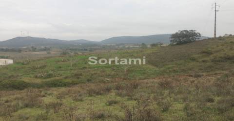 Terreno Rústico  Venda em São Bartolomeu de Messines,Silves