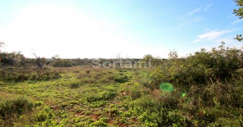 Terreno Rústico  Venda em Salir,Loulé