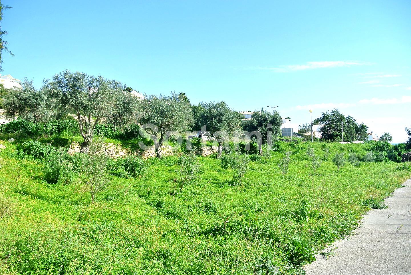 Terreno Para Construção  Venda em Albufeira e Olhos de Água,Albufeira