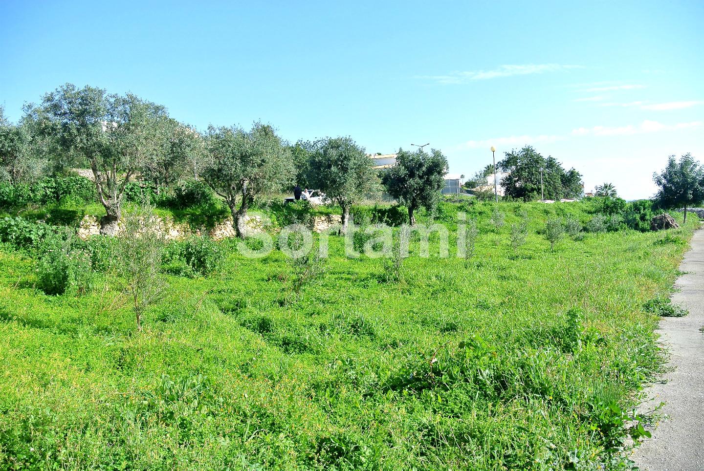 Terreno Para Construção  Venda em Albufeira e Olhos de Água,Albufeira