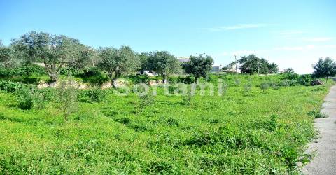 Terreno Para Construção  Venda em Albufeira e Olhos de Água,Albufeira
