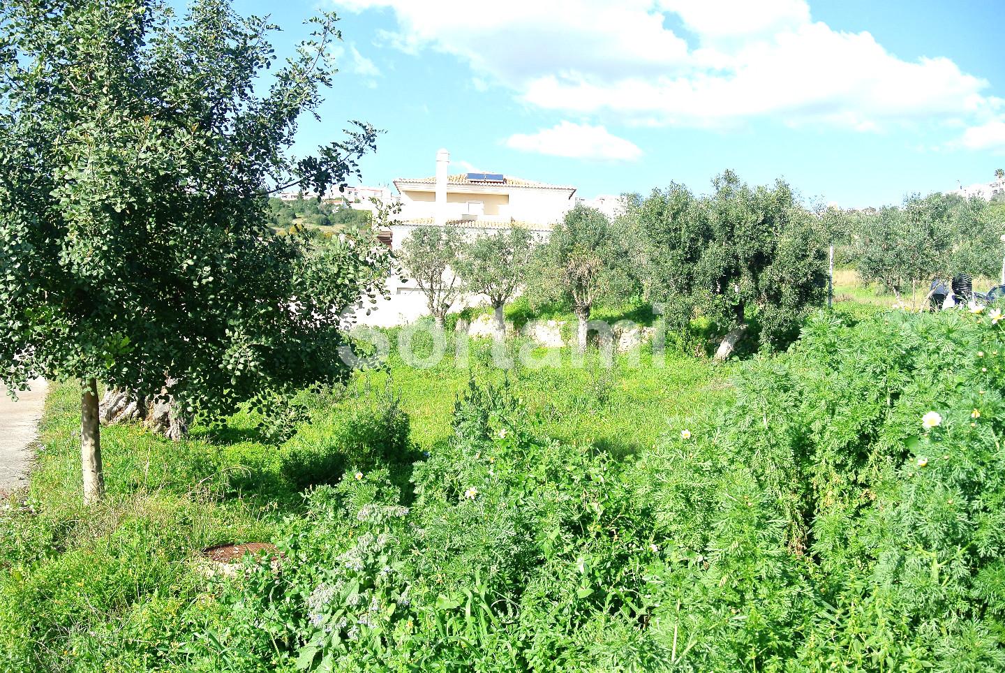 Terreno Para Construção  Venda em Albufeira e Olhos de Água,Albufeira