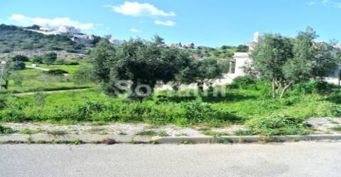 Terreno Para Construção  Venda em Albufeira e Olhos de Água,Albufeira