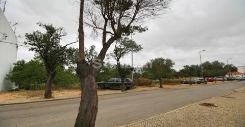 Terreno Para Construção  Venda em Conceição e Estoi,Faro
