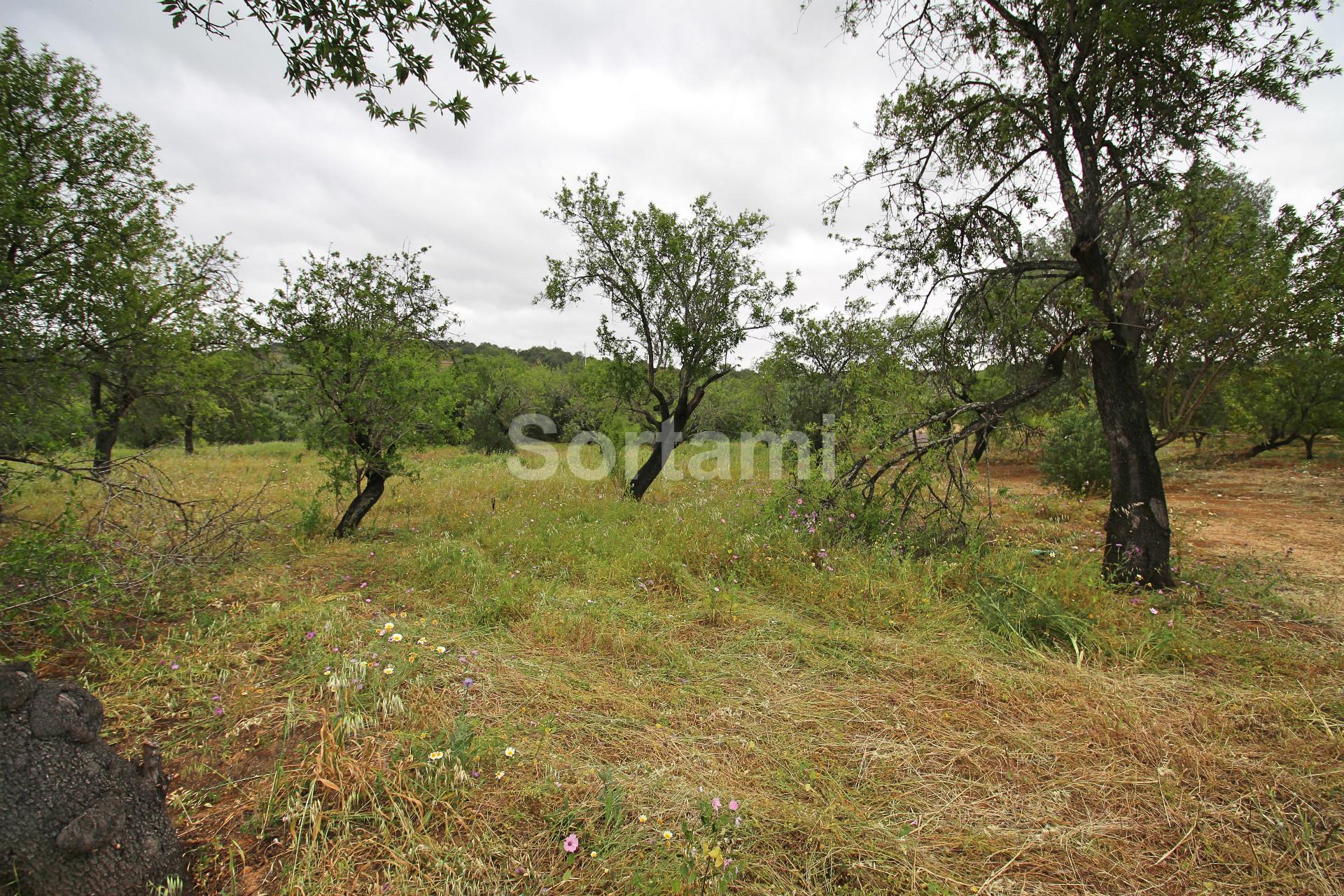 Terreno Para Construção  Venda em Conceição e Estoi,Faro