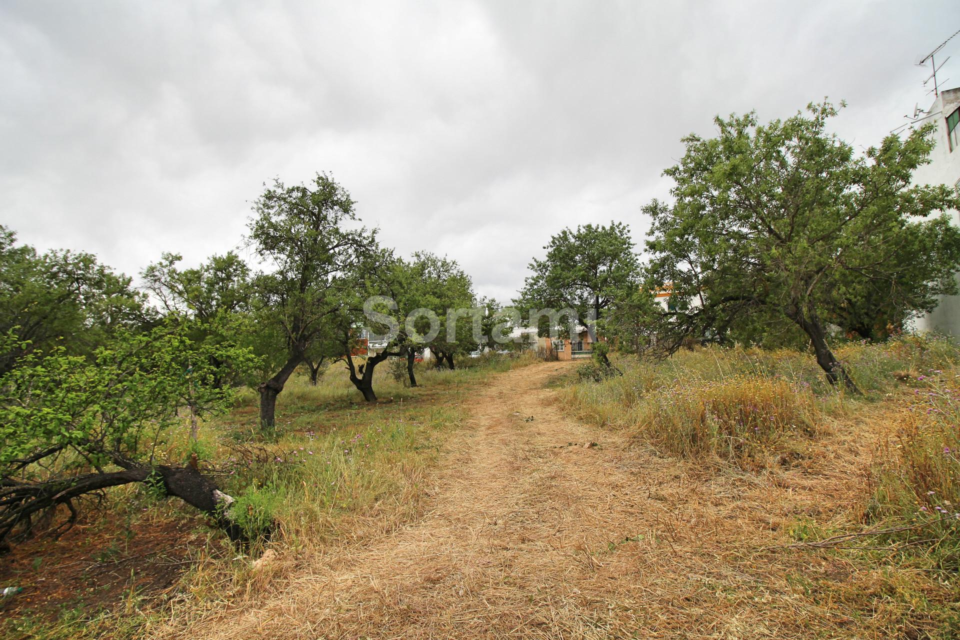 Terreno Para Construção  Venda em Conceição e Estoi,Faro