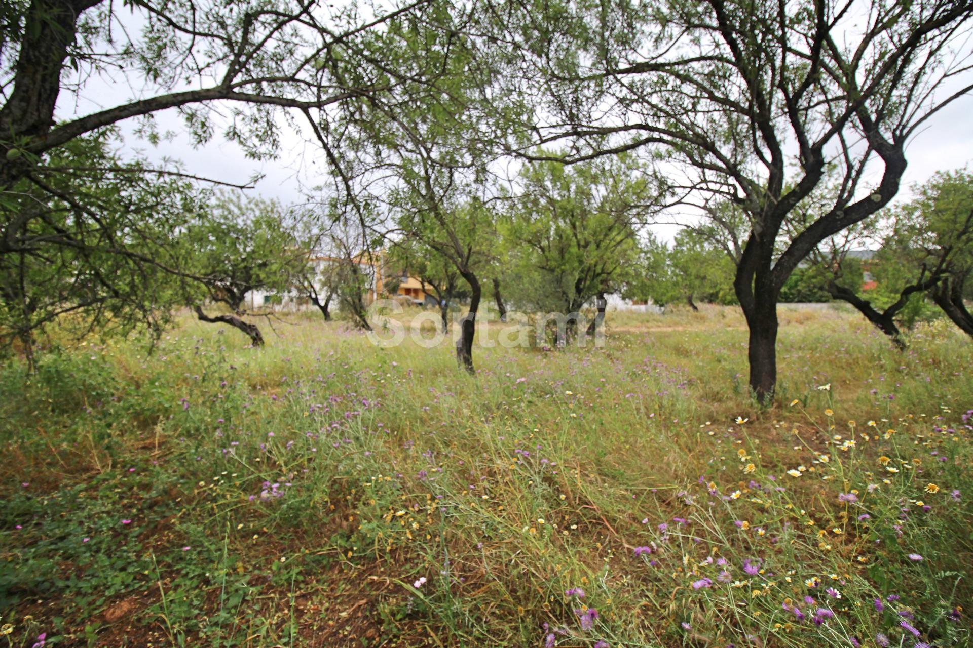 Terreno Para Construção  Venda em Conceição e Estoi,Faro