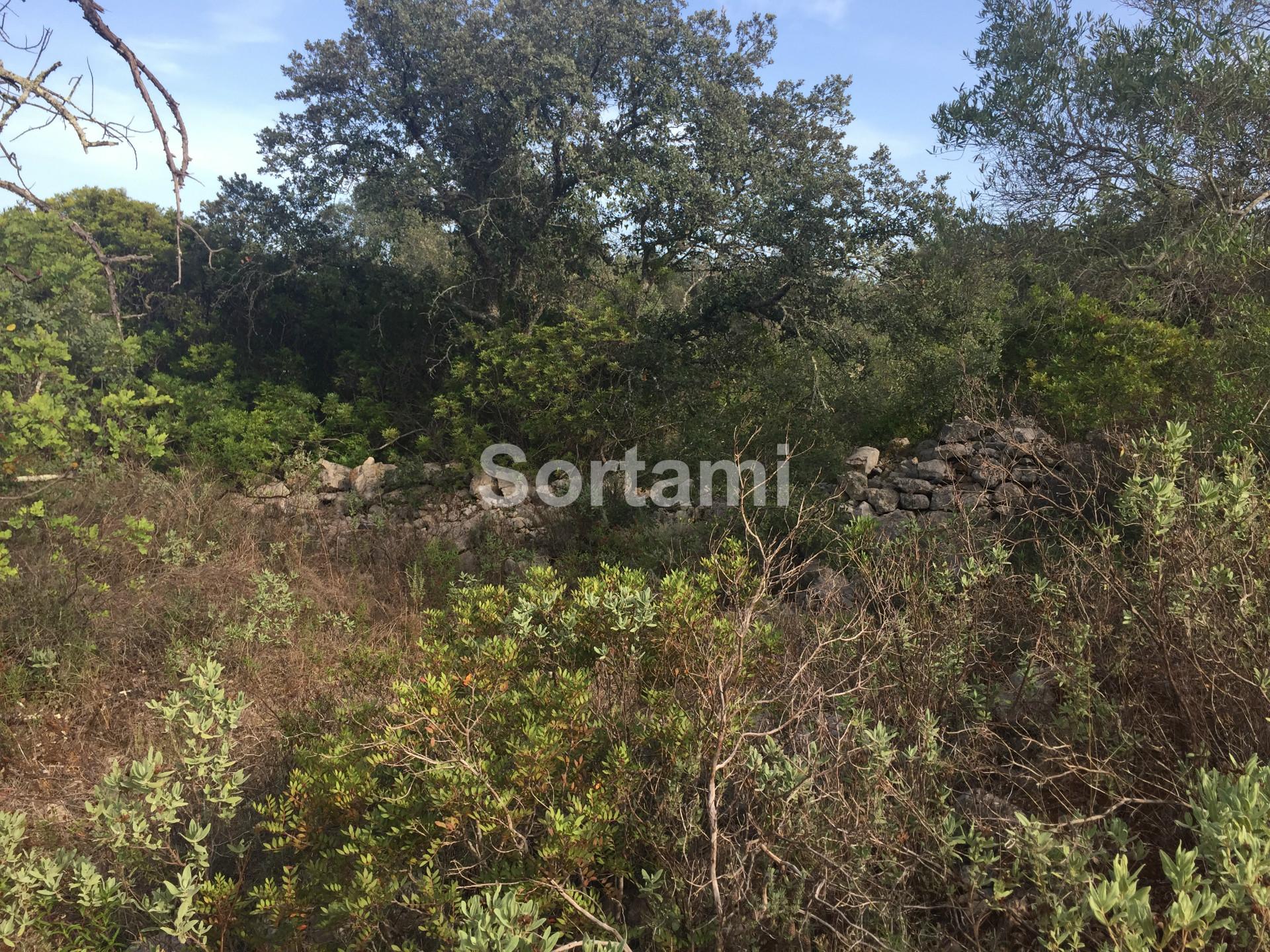 Terreno Rústico  Venda em Querença, Tôr e Benafim,Loulé