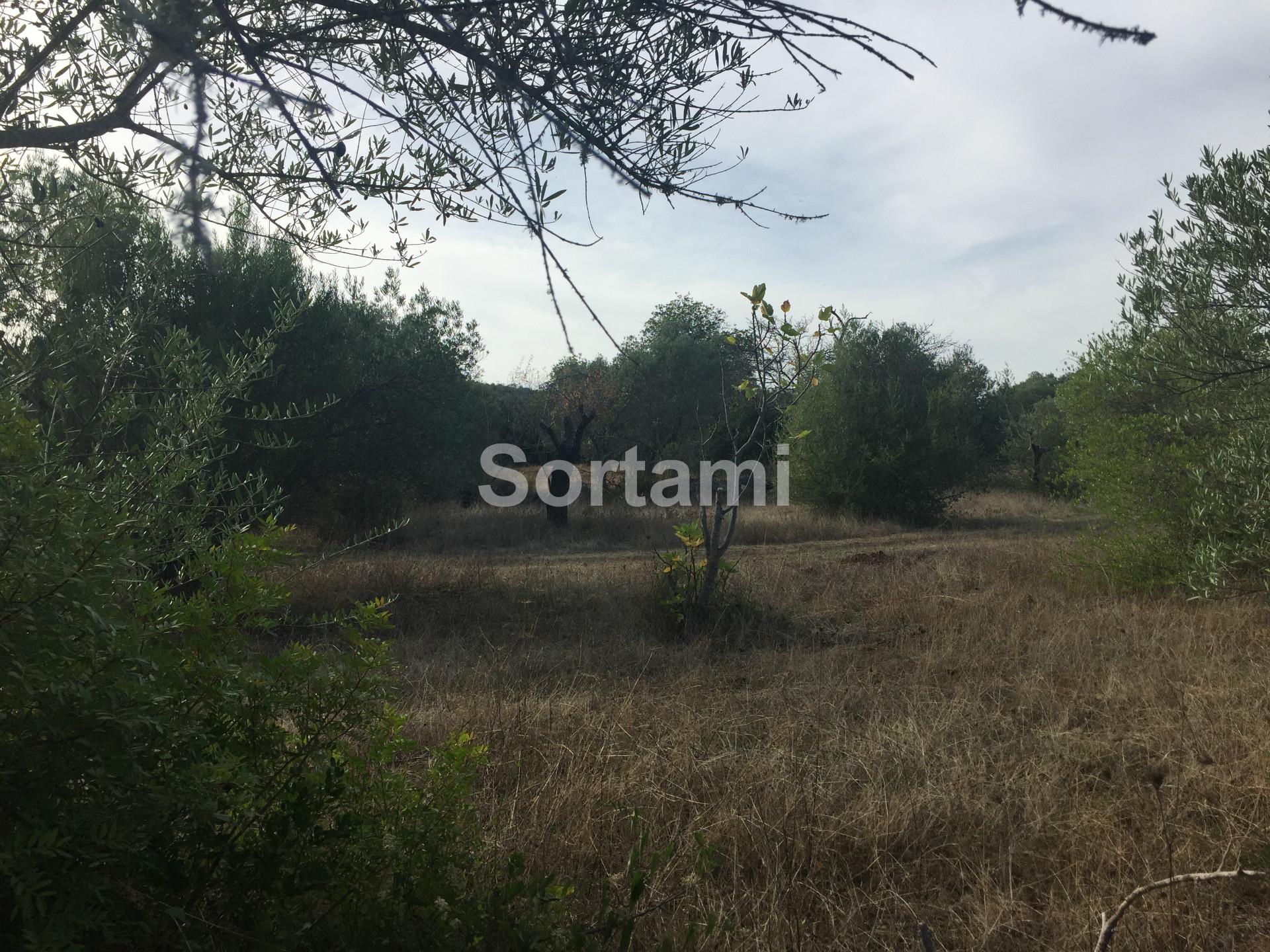 Terreno Rústico  Venda em Querença, Tôr e Benafim,Loulé