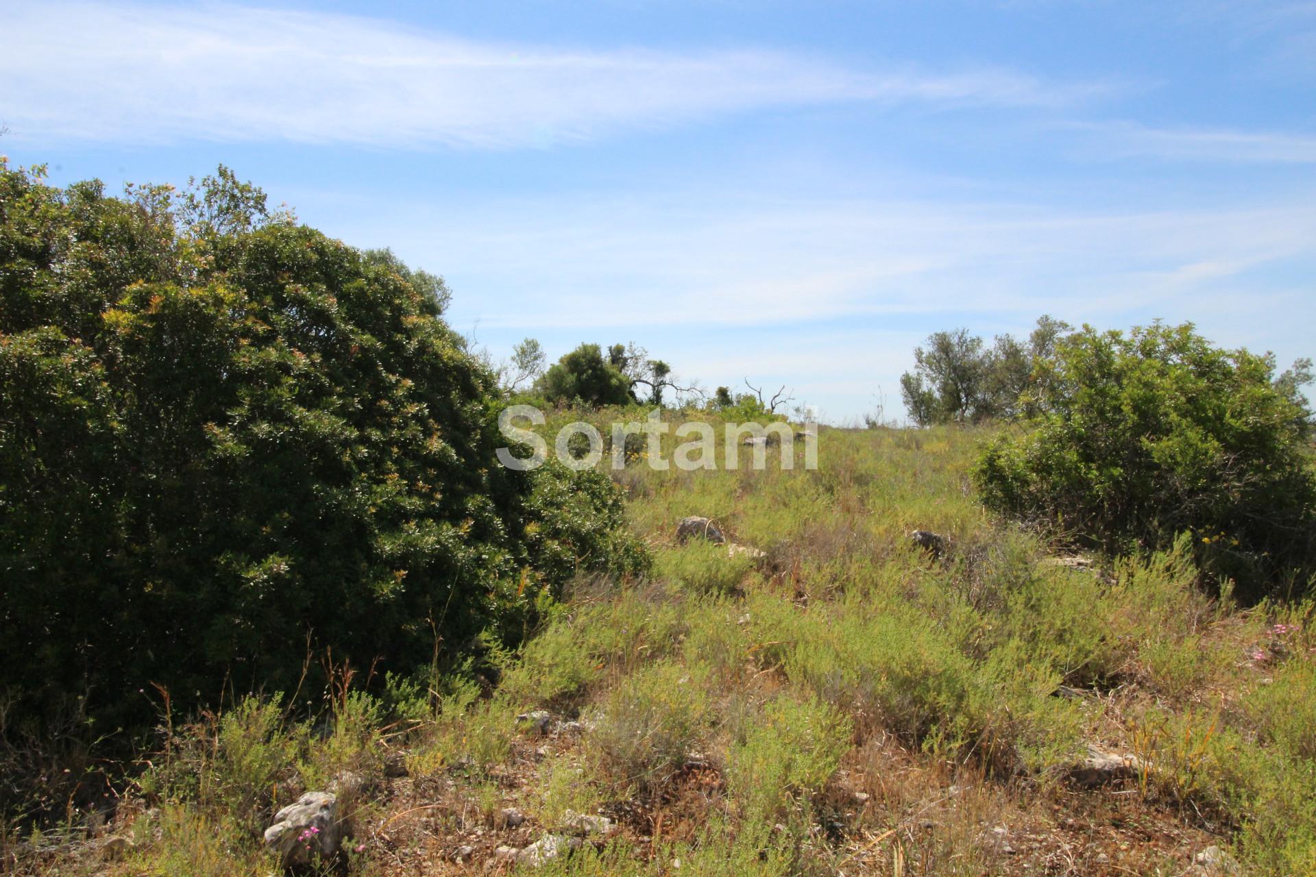 Terreno Para Construção  Venda em Algoz e Tunes,Silves