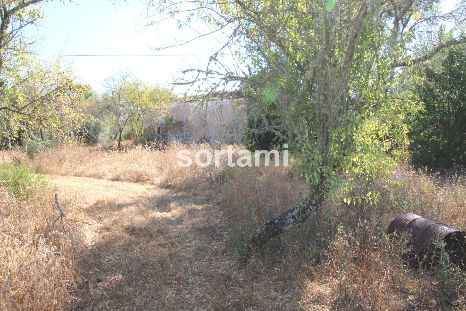 Terreno Para Construção  Venda em Querença, Tôr e Benafim,Loulé