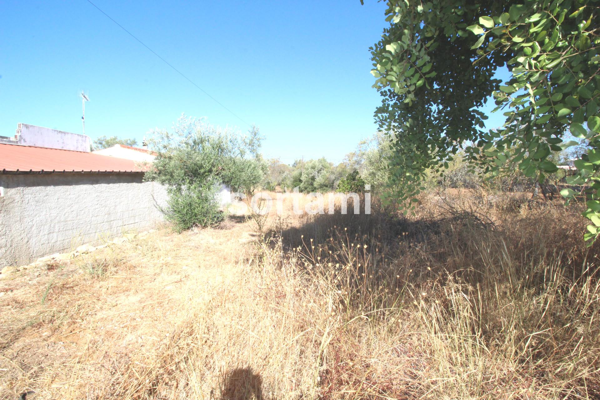 Terreno Para Construção  Venda em Querença, Tôr e Benafim,Loulé