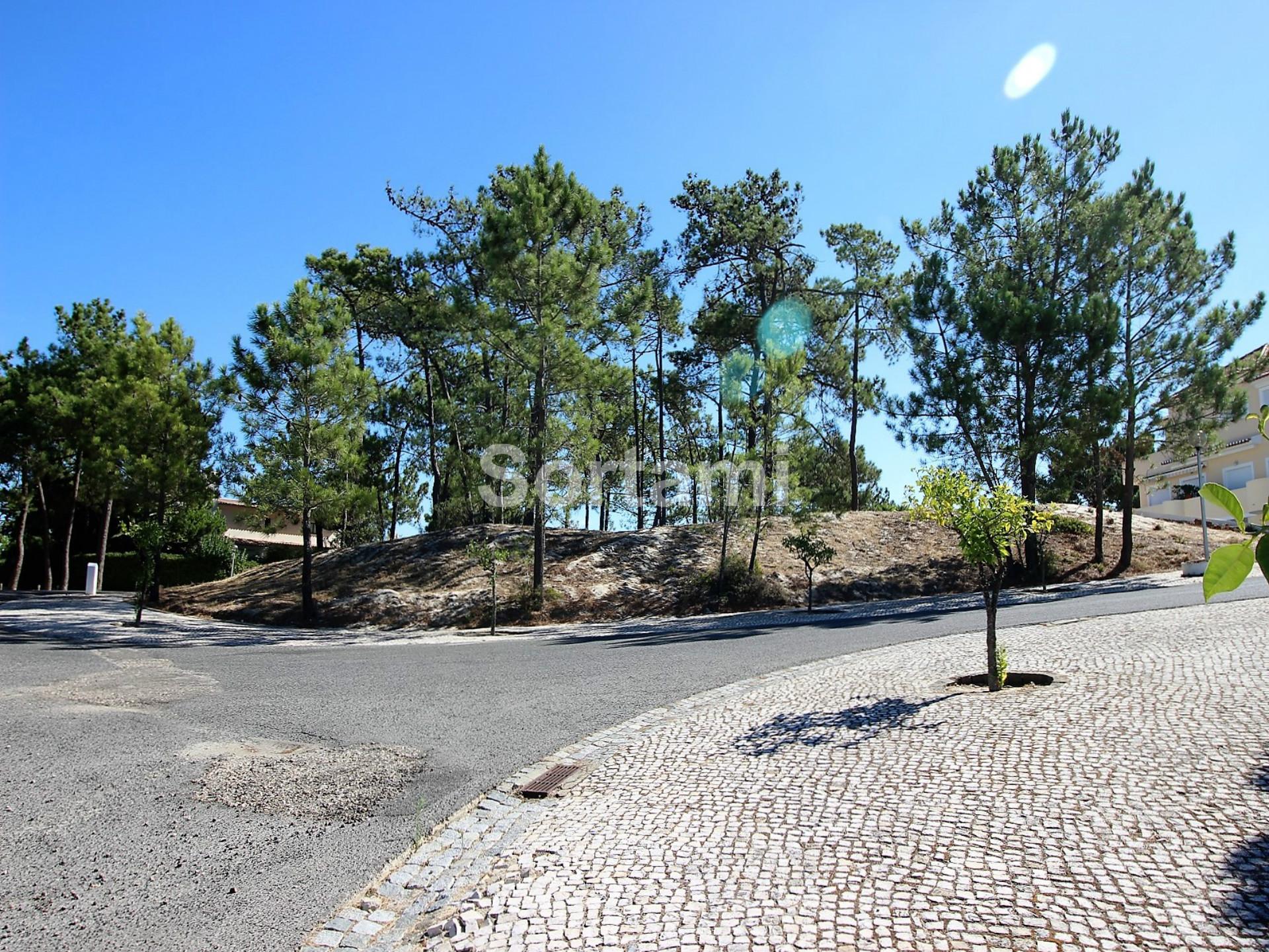 Terreno Para Construção  Venda em Carvalhal,Grândola