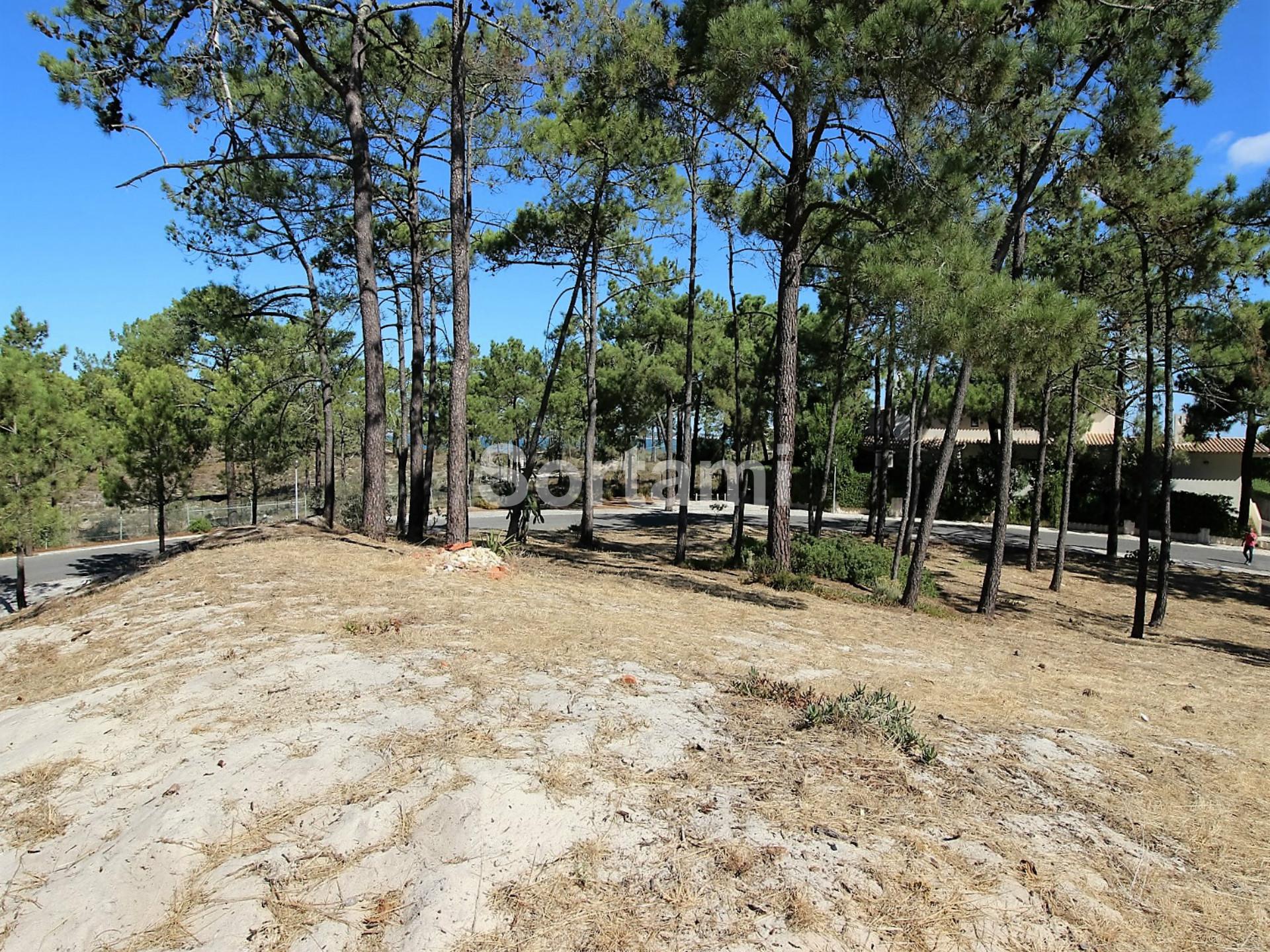 Terreno Para Construção  Venda em Carvalhal,Grândola