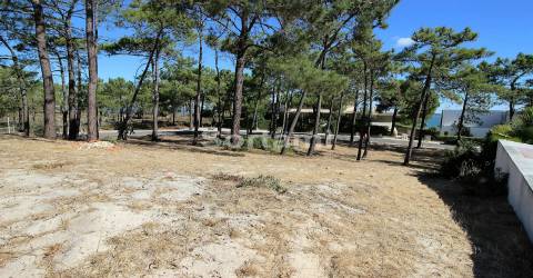 Terreno Para Construção  Venda em Carvalhal,Grândola