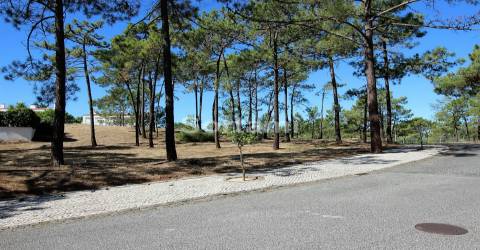Terreno Para Construção  Venda em Carvalhal,Grândola