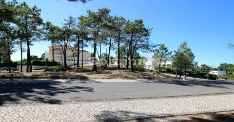 Terreno Para Construção  Venda em Carvalhal,Grândola