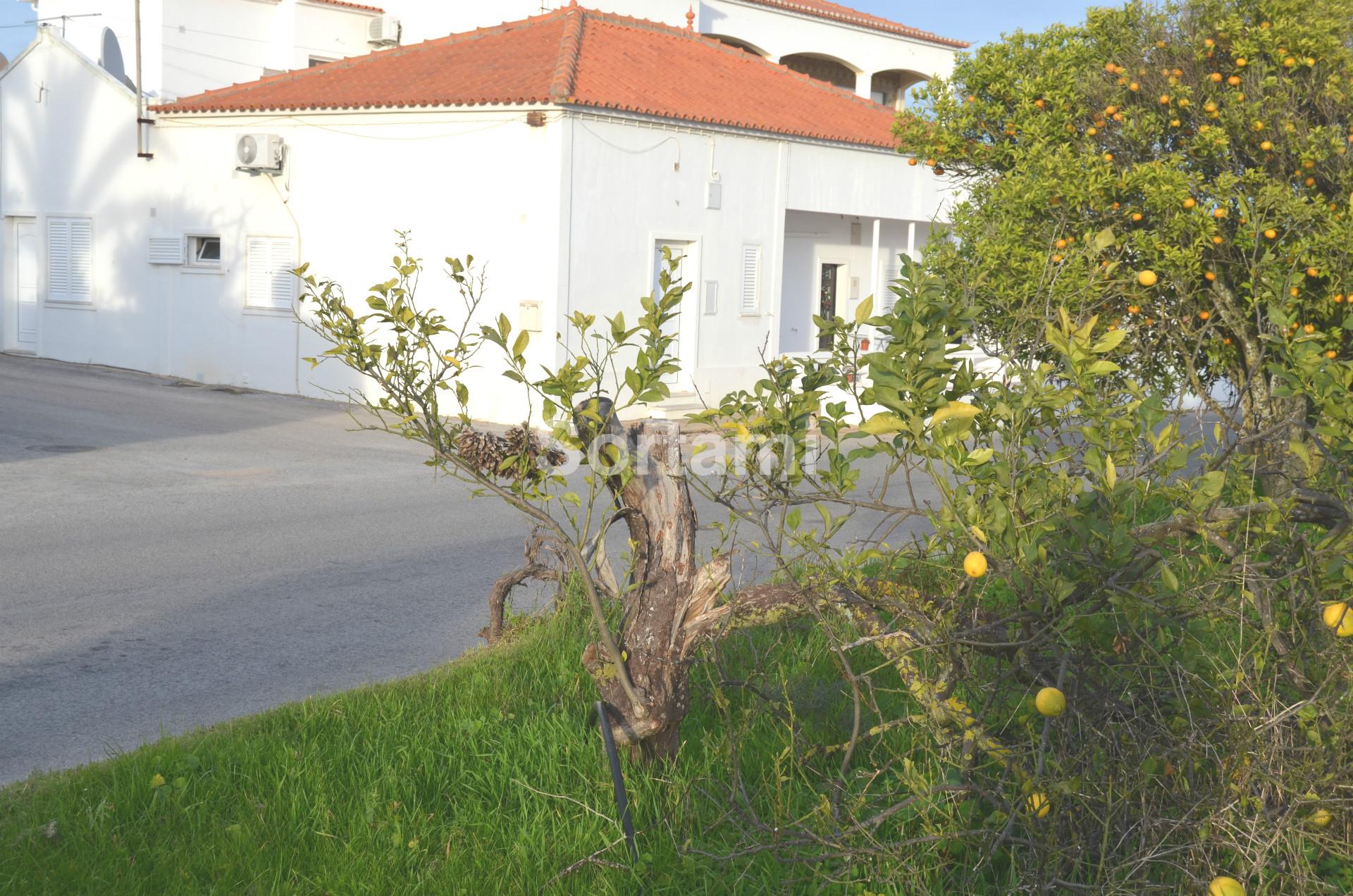 Terreno Rústico  Venda em Albufeira e Olhos de Água,Albufeira