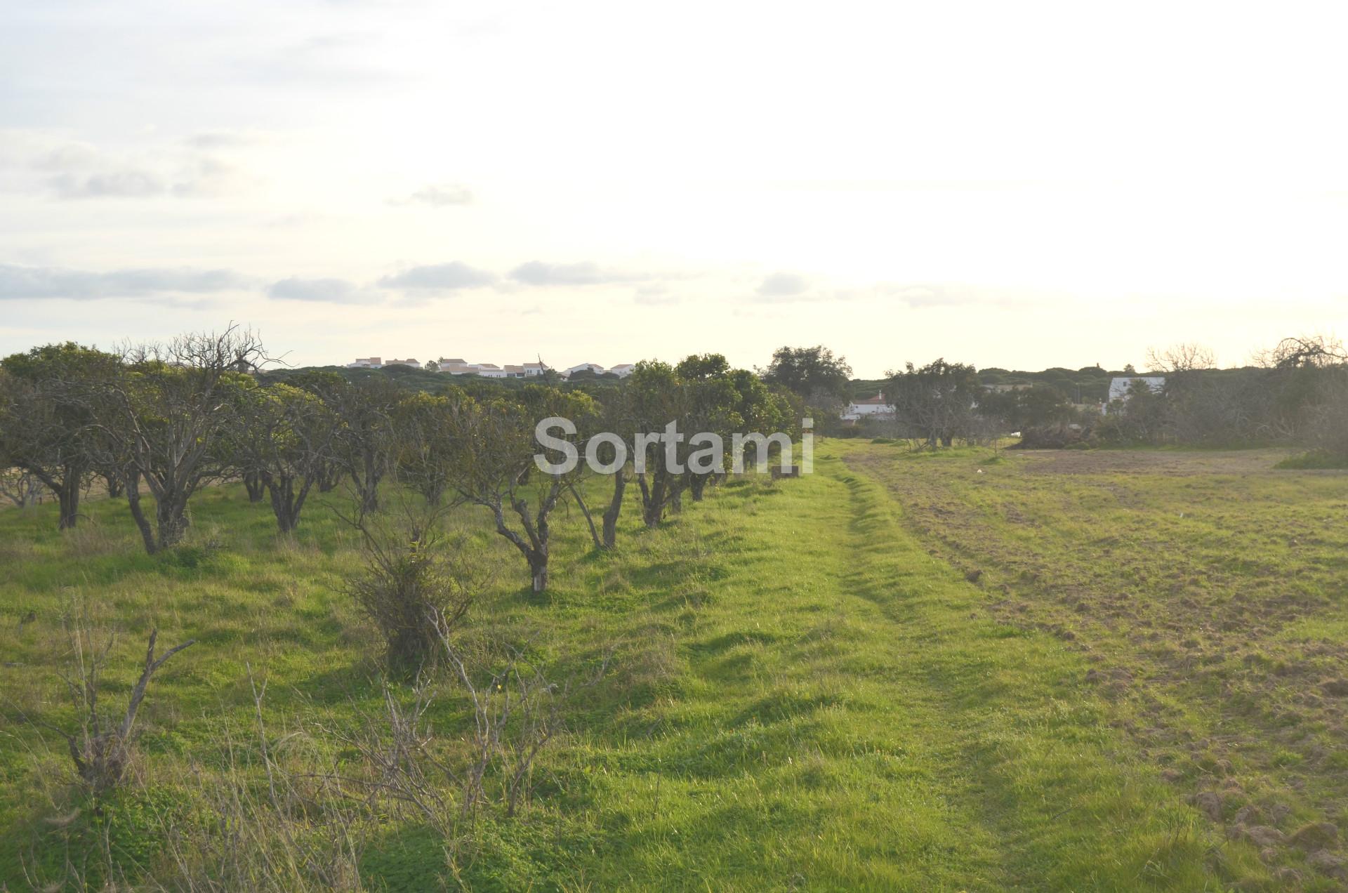 Terreno Rústico  Venda em Albufeira e Olhos de Água,Albufeira