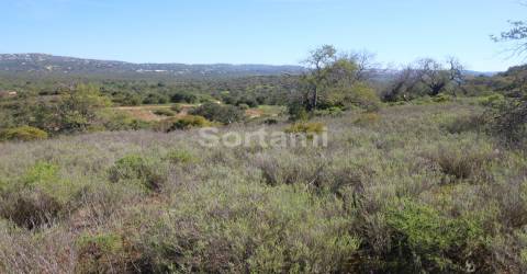 Terreno Para Construção  Venda em Loulé (São Sebastião),Loulé