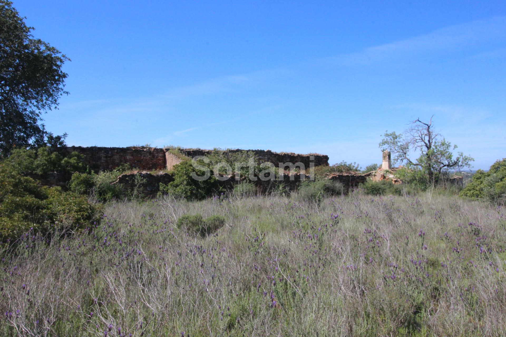 Terreno Para Construção  Venda em Loulé (São Sebastião),Loulé