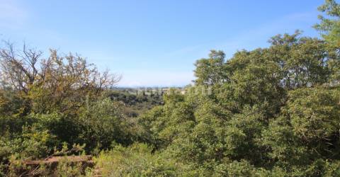 Terreno Para Construção  Venda em Loulé (São Sebastião),Loulé