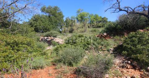 Terreno Para Construção  Venda em Loulé (São Sebastião),Loulé