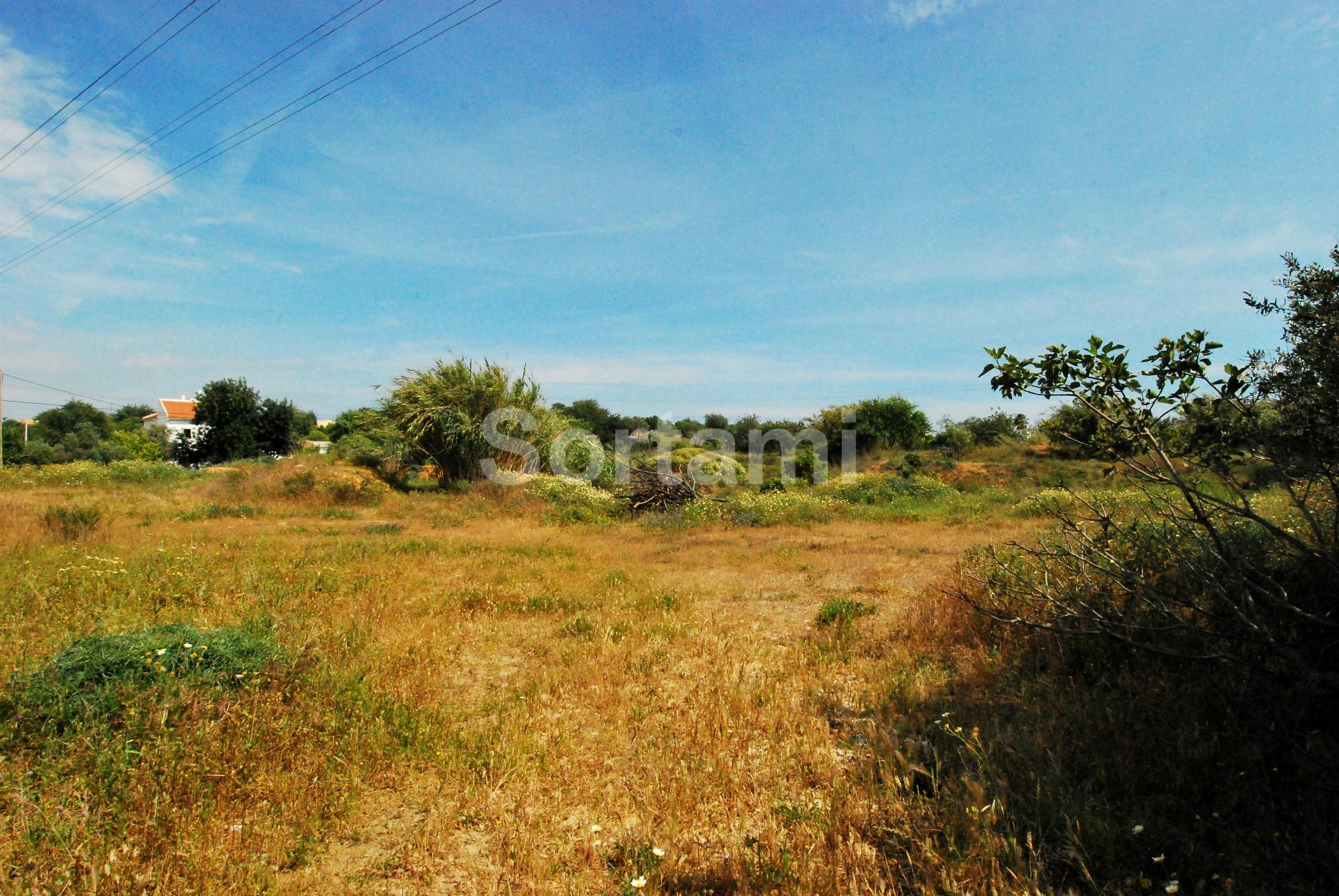 Terreno Rústico  Venda em Quelfes,Olhão