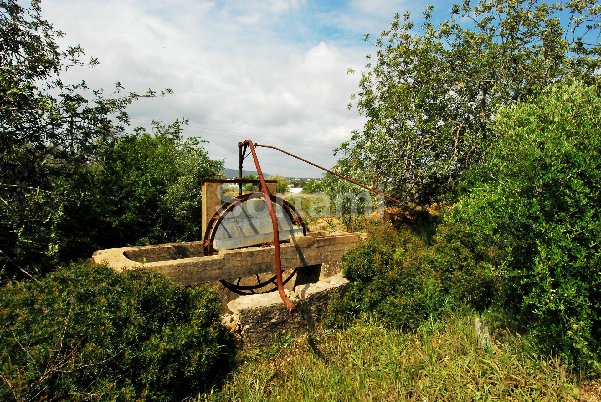 Terreno Rústico  Venda em Quelfes,Olhão