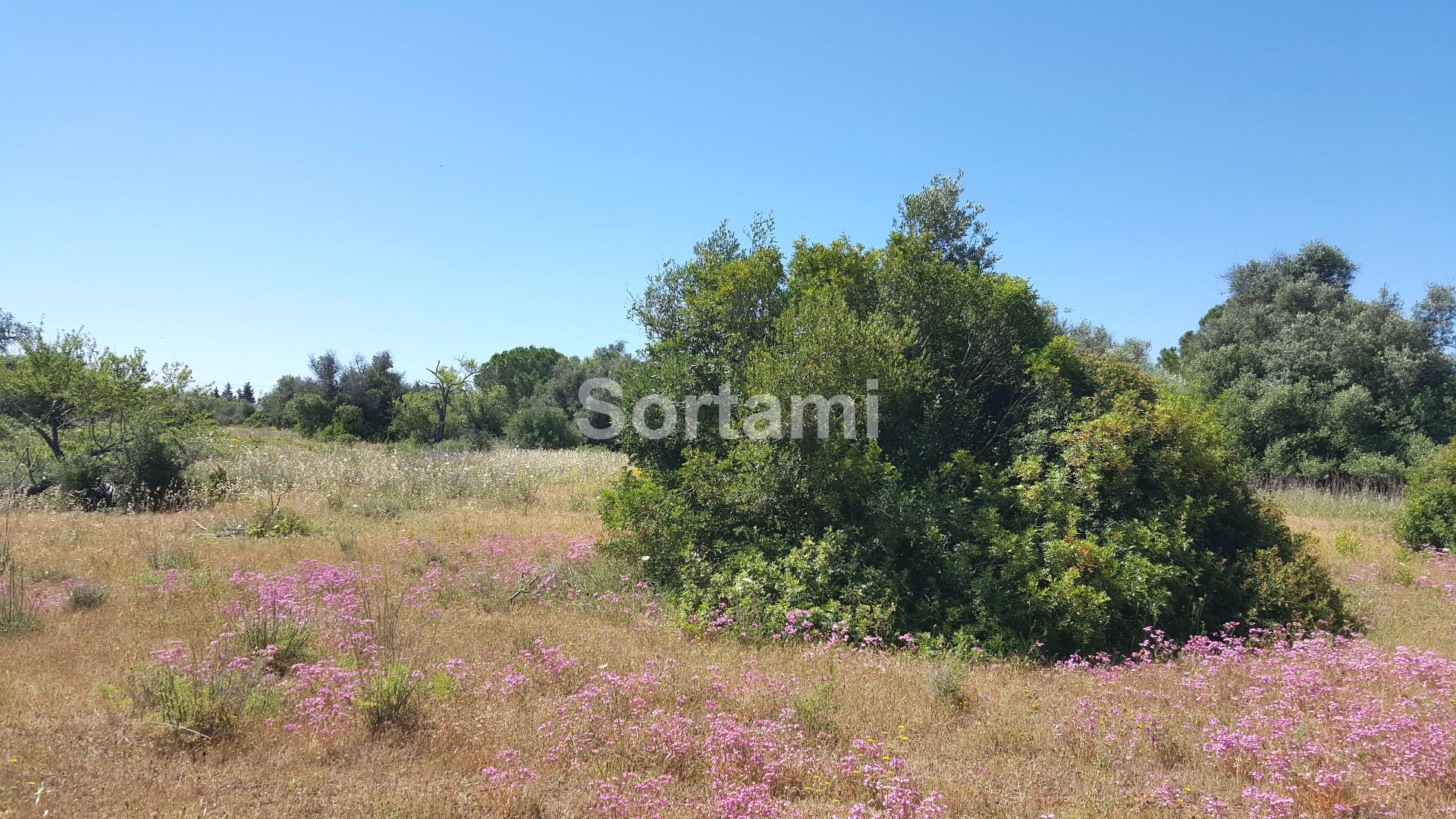 Terreno Para Construção  Venda em Armação de Pêra,Silves