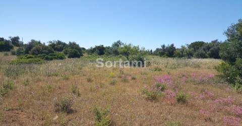Terreno Para Construção  Venda em Armação de Pêra,Silves