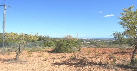 Terreno Rústico  Venda em Boliqueime,Loulé