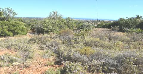 Terreno Rústico  Venda em Boliqueime,Loulé