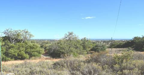 Terreno Rústico  Venda em Boliqueime,Loulé
