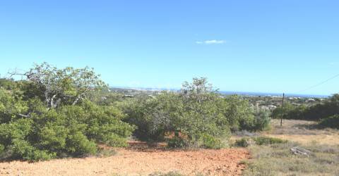 Terreno Rústico  Venda em Boliqueime,Loulé
