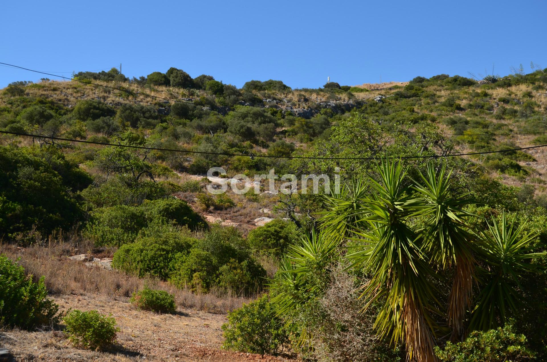 Terreno Para Construção  Venda em Albufeira e Olhos de Água,Albufeira