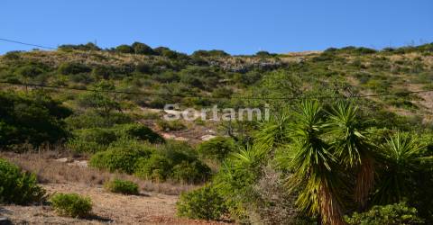 Terreno Para Construção  Venda em Albufeira e Olhos de Água,Albufeira