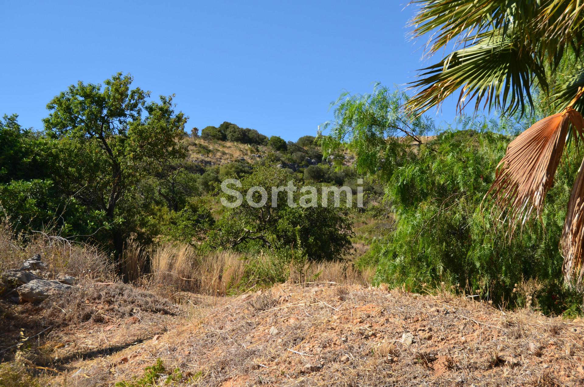 Terreno Para Construção  Venda em Albufeira e Olhos de Água,Albufeira