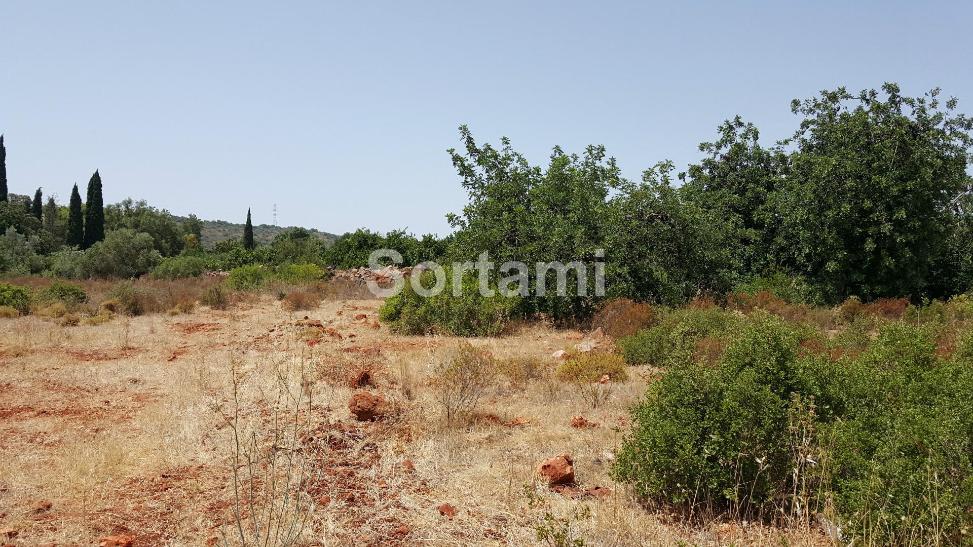 Terreno Rústico  Venda em Paderne,Albufeira