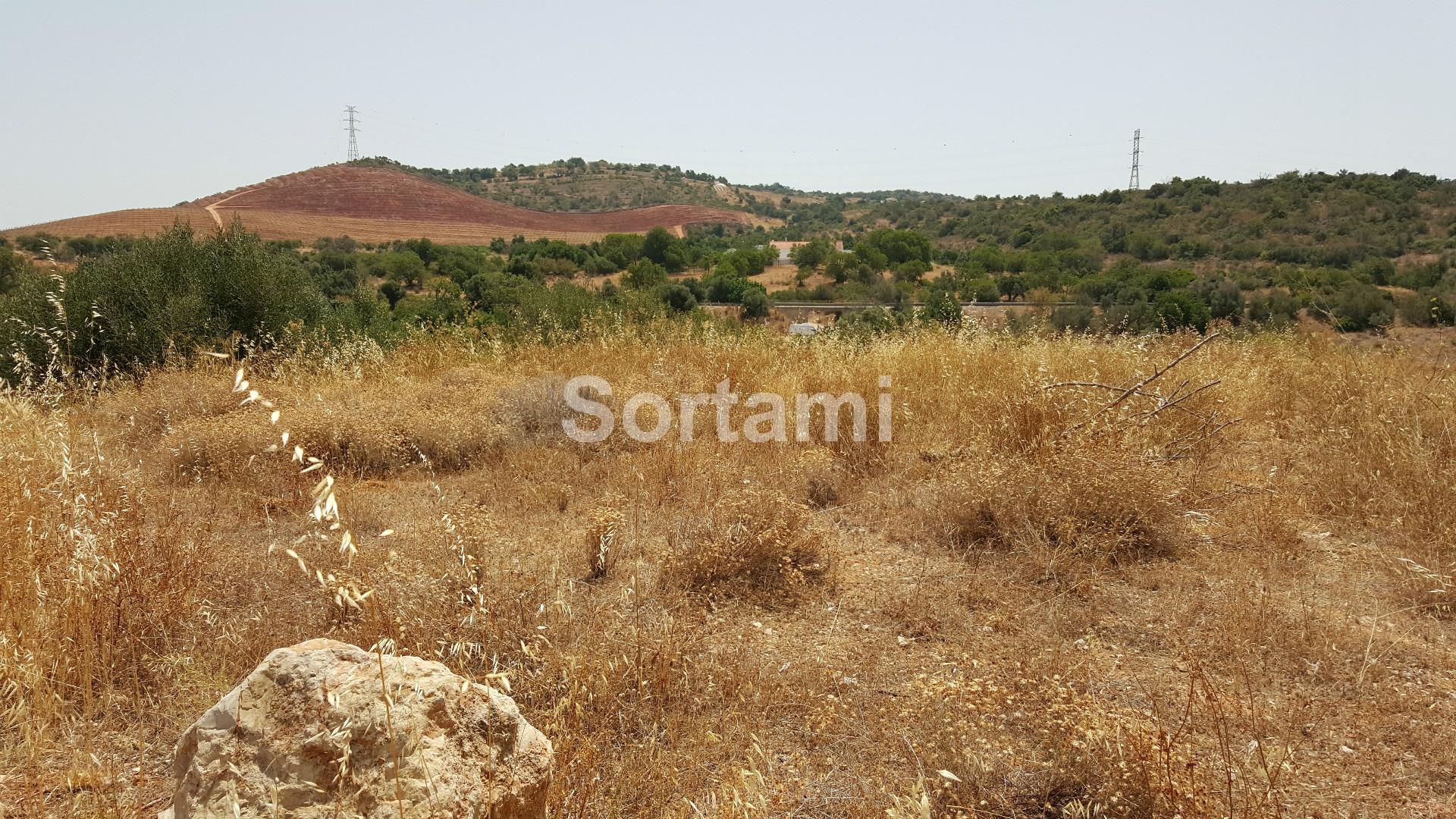 Terreno Rústico  Venda em Algoz e Tunes,Silves