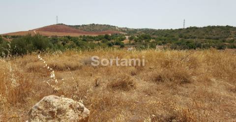Terreno Rústico  Venda em Algoz e Tunes,Silves