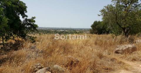 Terreno Rústico  Venda em Algoz e Tunes,Silves